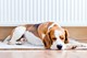 mazout_ordinaire_slider_01.jpg